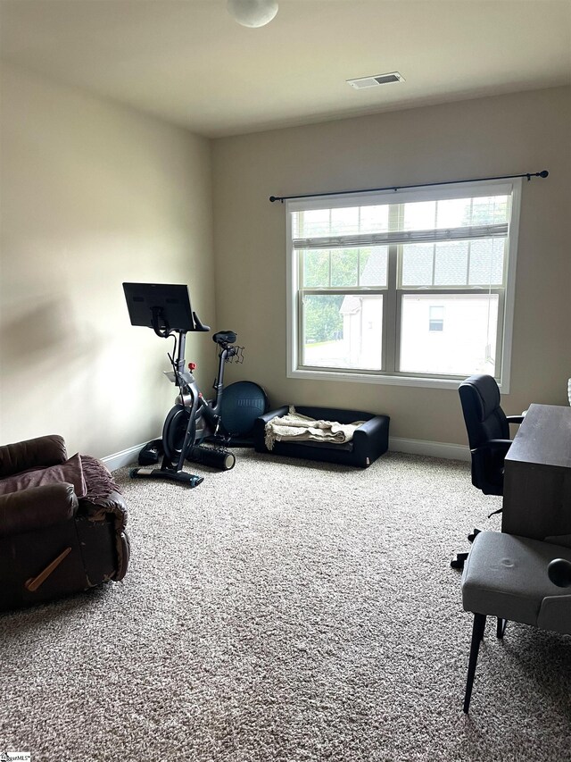 exercise area featuring carpet flooring