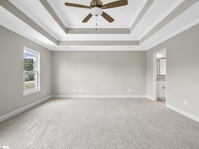 carpeted spare room with ceiling fan, a raised ceiling, and ornamental molding