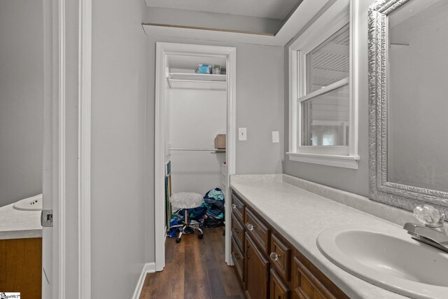 bathroom with vanity and hardwood / wood-style flooring