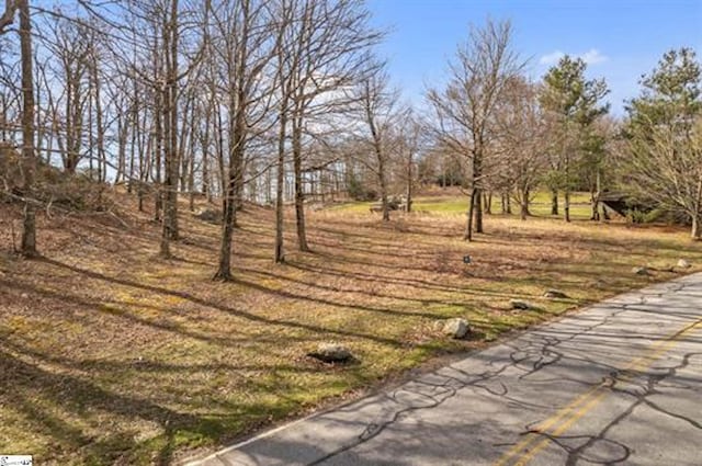 Glassy Ridge Rd Lot 11, Landrum SC, 29356 land for sale