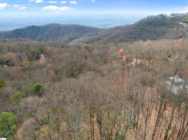 00 Cliff Ridge Dr Lot 171, Cleveland, SC 29635
