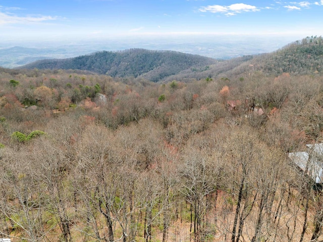 00 Cliff Ridge Dr Lot 171, Cleveland, SC 29635