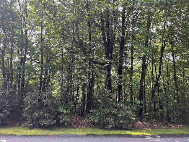 00 Cliff Ridge Dr Lot 171, Cleveland, SC 29635
