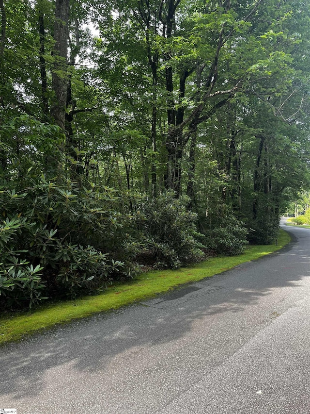 00 Cliff Ridge Dr Lot 171, Cleveland, SC 29635