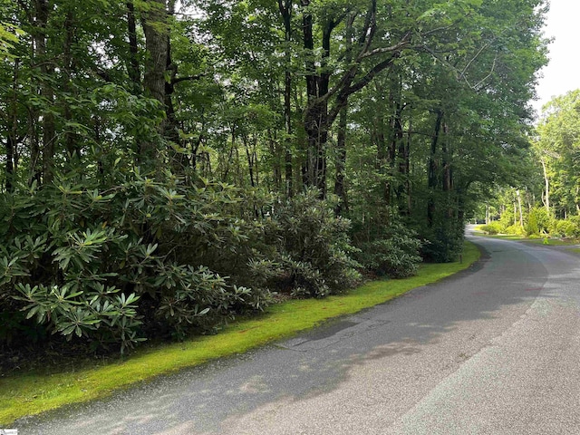 00 Cliff Ridge Dr Lot 171, Cleveland, SC 29635