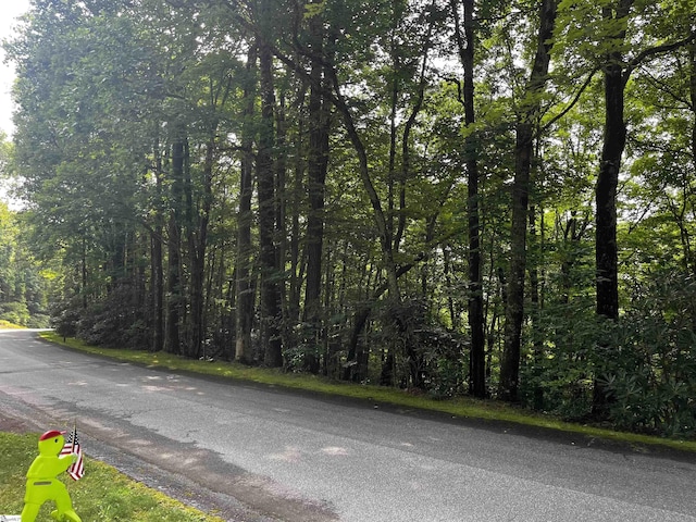 00 Cliff Ridge Dr Lot 171, Cleveland, SC 29635