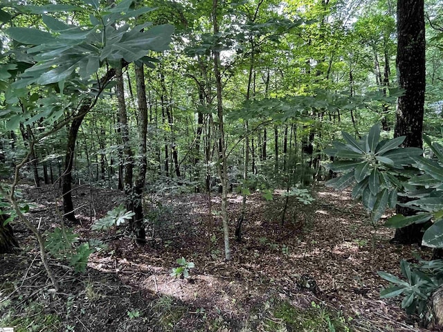 00 Cliff Ridge Dr Lot 171, Cleveland, SC 29635