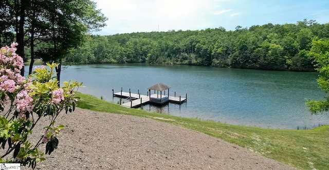 00 Cliff Ridge Dr Lot 171, Cleveland, SC 29635