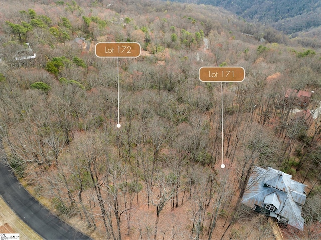 00 Cliff Ridge Dr Lot 171, Cleveland, SC 29635
