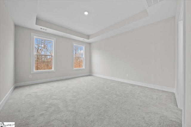 unfurnished room featuring light colored carpet and a raised ceiling