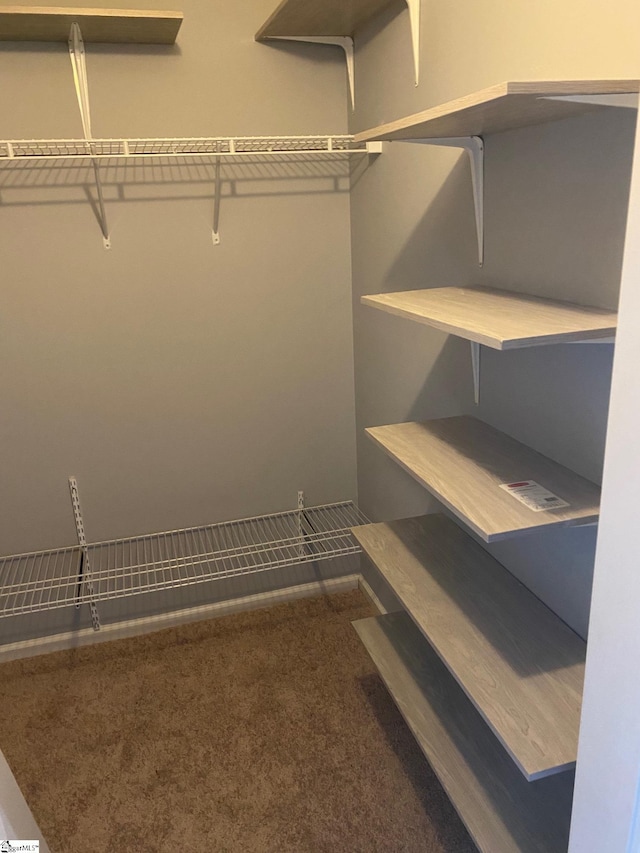 spacious closet featuring carpet floors