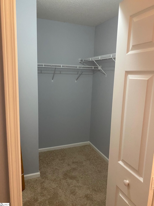 spacious closet with carpet flooring