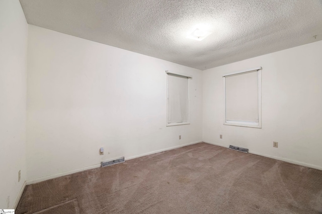 unfurnished room featuring a textured ceiling and carpet flooring