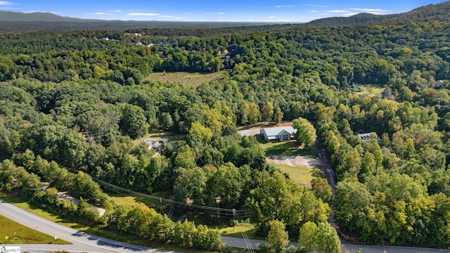 bird's eye view with a mountain view