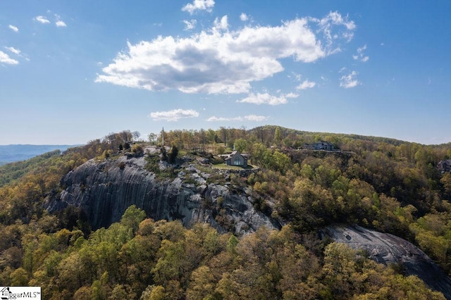 view of mountain feature