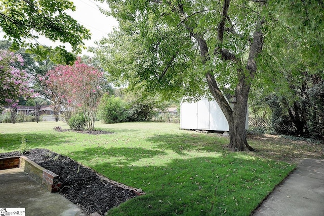 view of yard with a shed