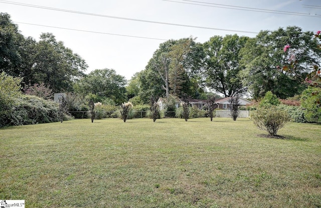 view of yard