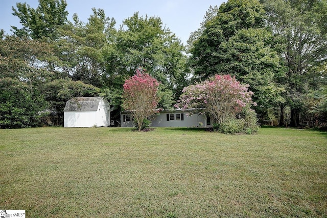 view of yard featuring a storage unit