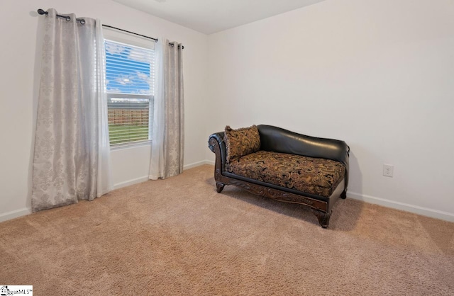 sitting room featuring light carpet