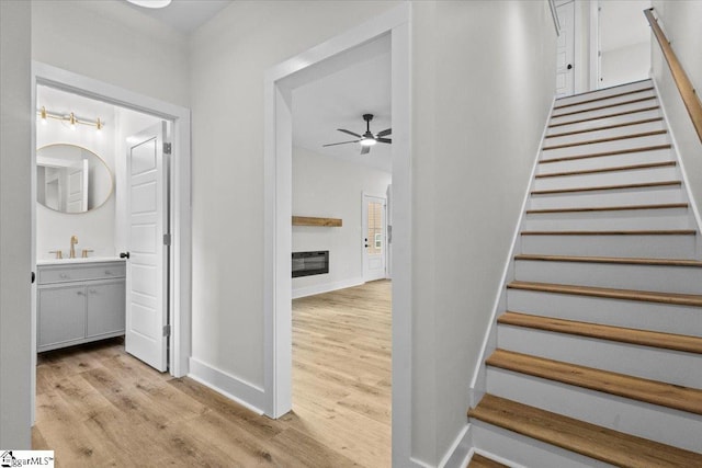 stairway featuring sink, ceiling fan, and hardwood / wood-style flooring