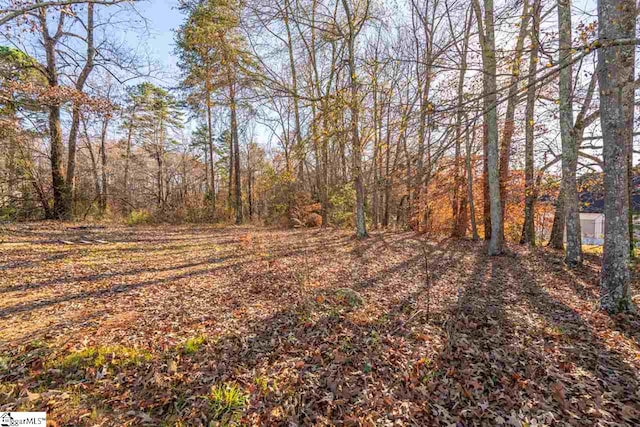 602 Rouen Ct, Greer, SC 29651