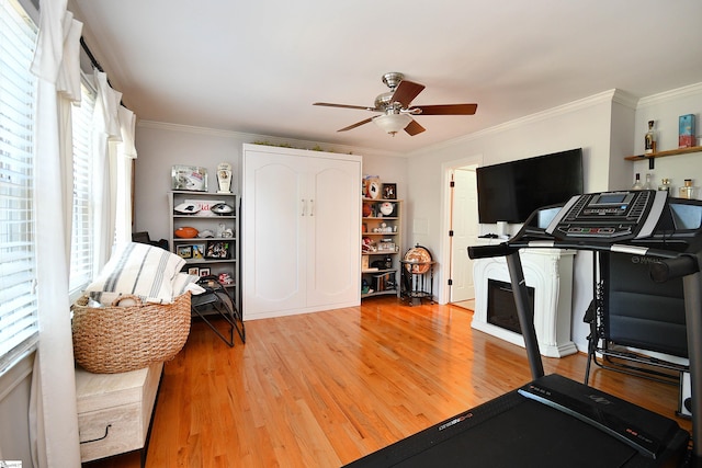 exercise room featuring ceiling fan, ornamental molding, light hardwood / wood-style floors, and a wealth of natural light