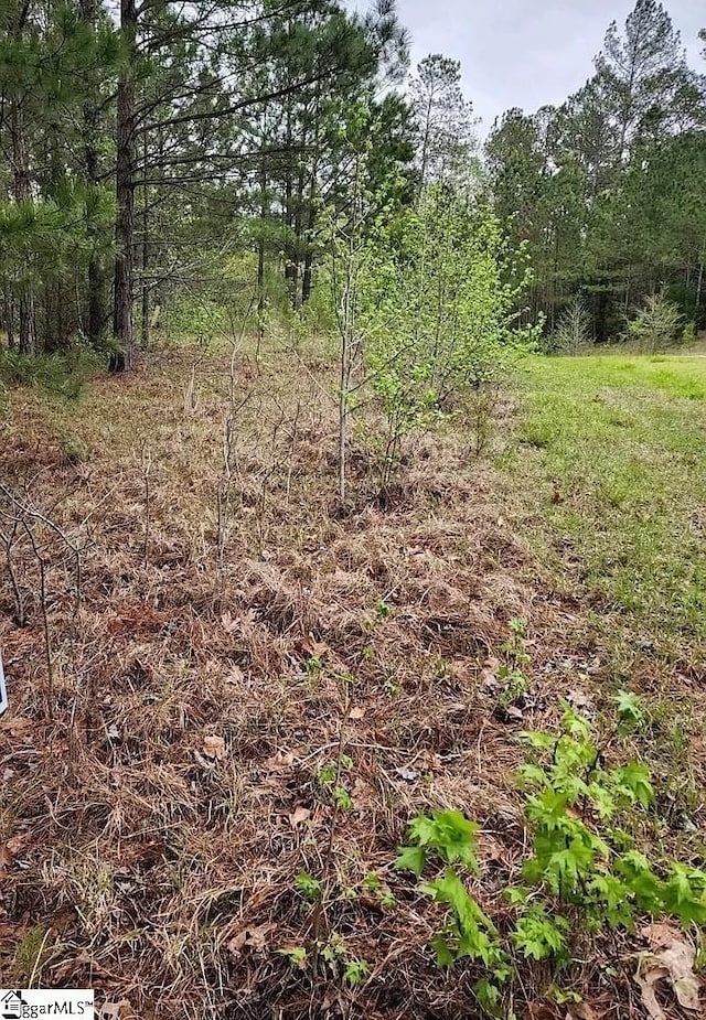 Listing photo 3 for 306 Watersedge Drive Lot #88And Lot #89, Cross Hill SC 29332