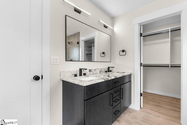 bathroom featuring wood-type flooring and vanity