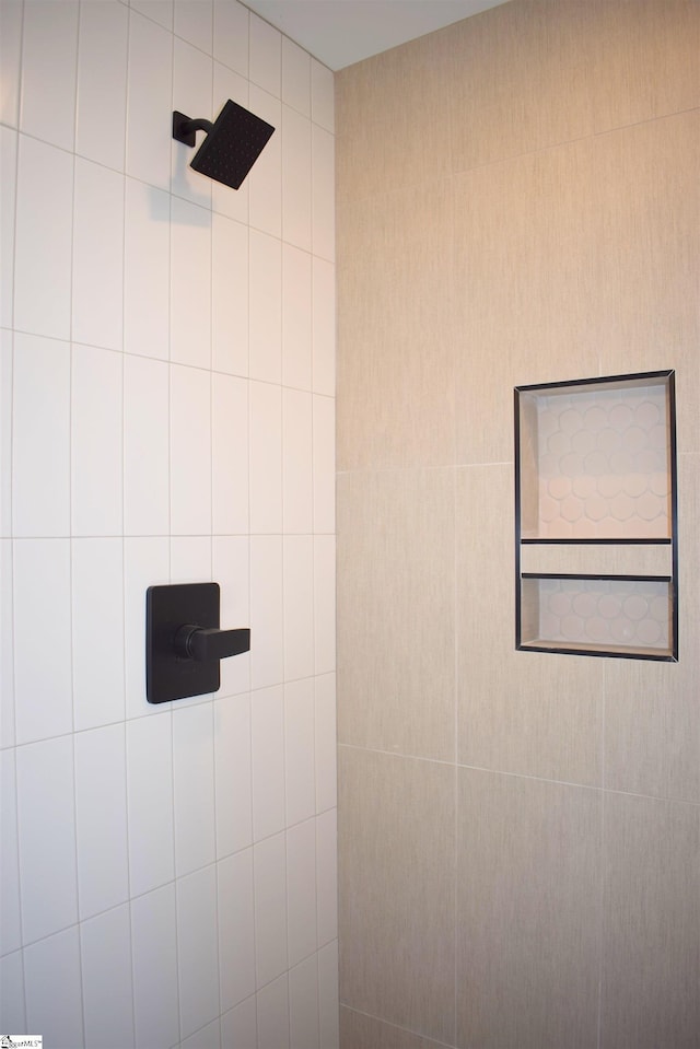 interior details with walk in shower