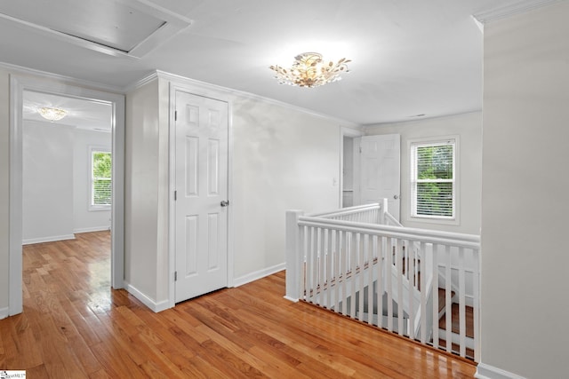 corridor featuring light wood-type flooring and ornamental molding