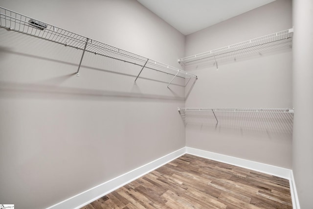 spacious closet with hardwood / wood-style flooring