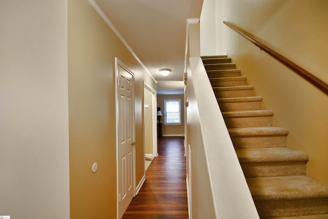 stairway featuring wood-type flooring and ornamental molding