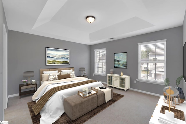 carpeted bedroom with multiple windows and a raised ceiling