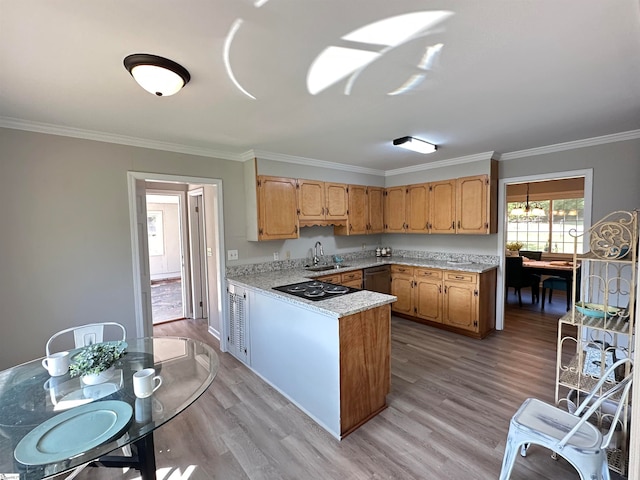 kitchen with black electric cooktop, light hardwood / wood-style flooring, ornamental molding, and sink