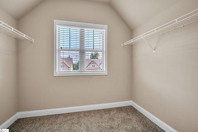 walk in closet with carpet floors and vaulted ceiling