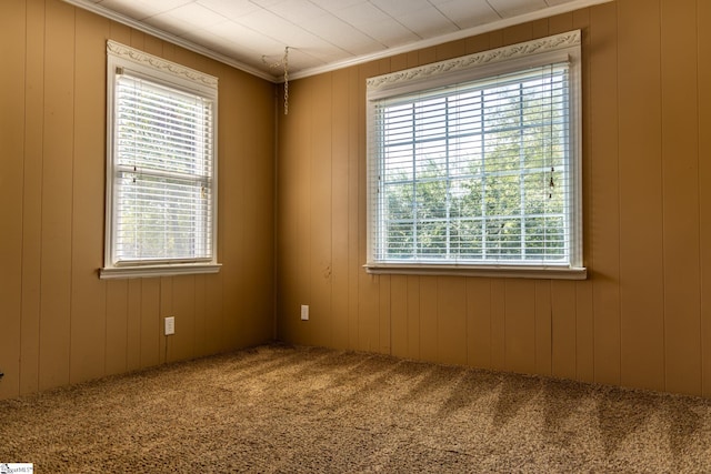 empty room featuring wood walls and carpet