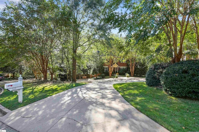 view of front of house with a front yard