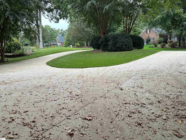 view of property's community featuring a lawn