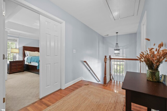 hallway featuring wood-type flooring