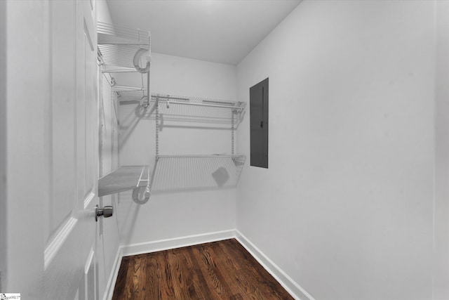 spacious closet featuring wood-type flooring and electric panel