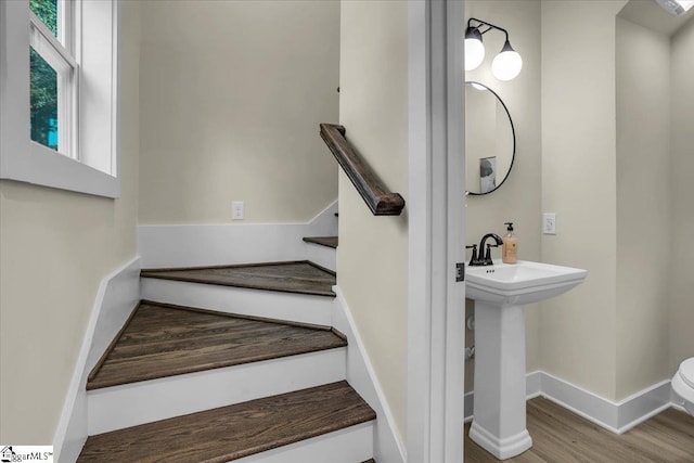 stairway with wood-type flooring