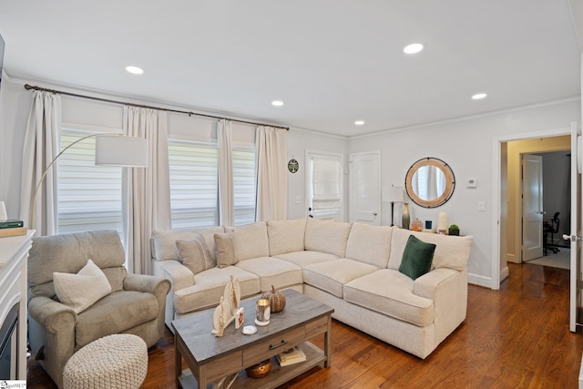 living room featuring crown molding and dark hardwood / wood-style flooring