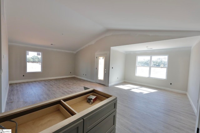 interior space featuring light hardwood / wood-style floors, lofted ceiling, and a wealth of natural light