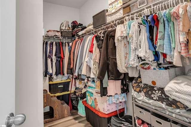 walk in closet with hardwood / wood-style flooring