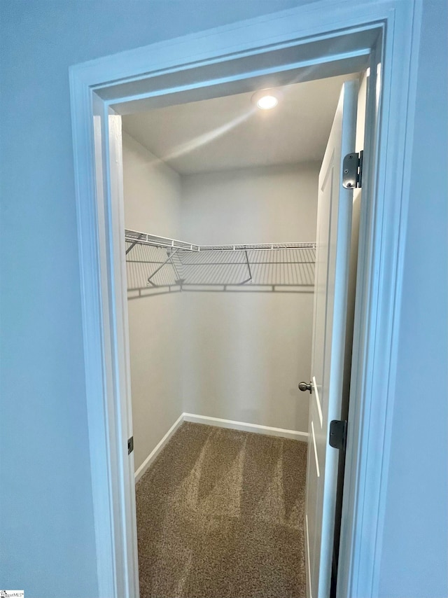 spacious closet with carpet flooring