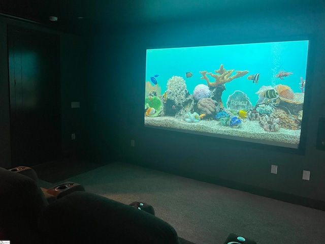 view of carpeted home theater