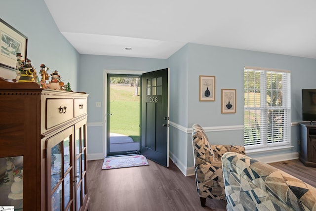 entrance foyer with plenty of natural light and dark hardwood / wood-style floors