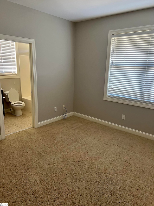 carpeted spare room featuring a wealth of natural light