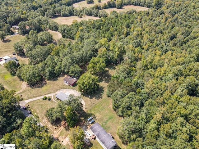 120 Cobb Rd, Pelzer, SC 29669 - aerial overview of property's location with a forest