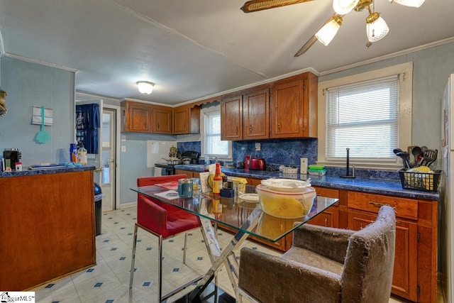 kitchen with crown molding and ceiling fan